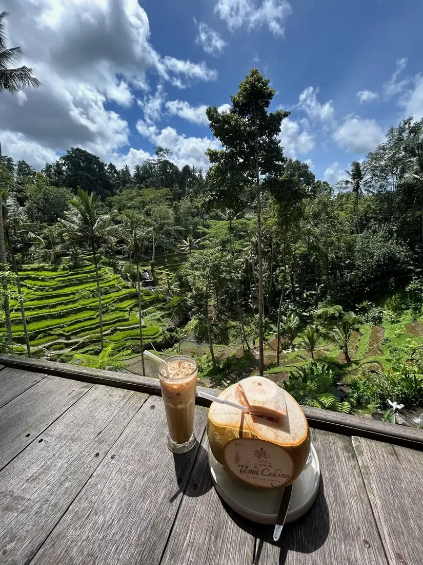 Fresh coconut overlooking Bali rice terraces