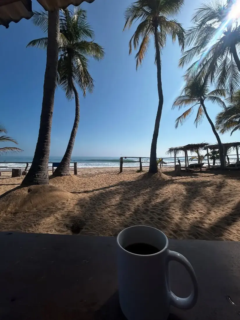 Coffee mug in front of a palm-lined beach